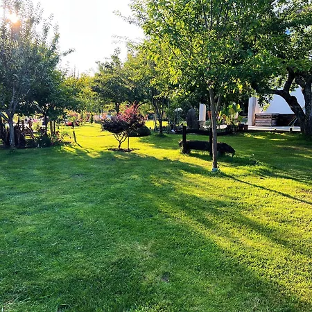 Holiday home Albaredo