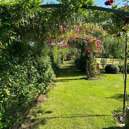 Albaredo * Villameá